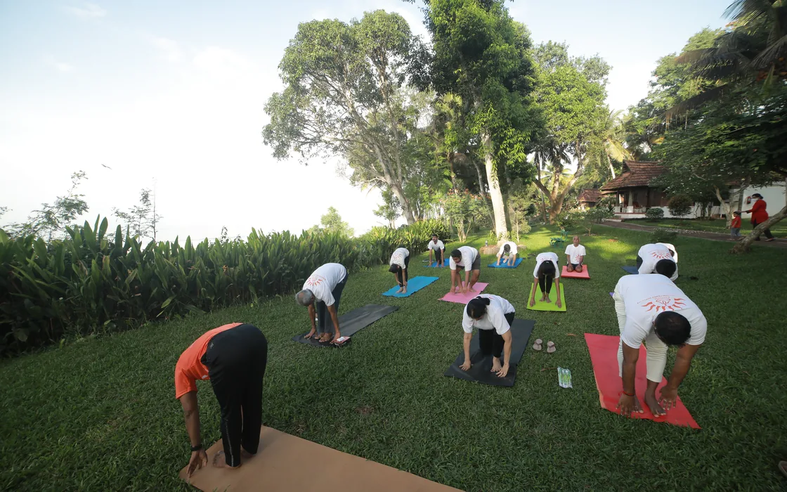 The retreat group in standing forward bends on the resort lawn under the trees, early in the morning.