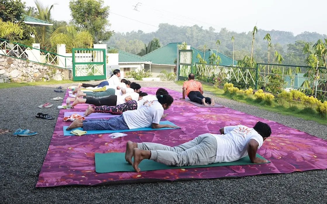 The retreat group practising on mats laid out in the open air at sunrise.